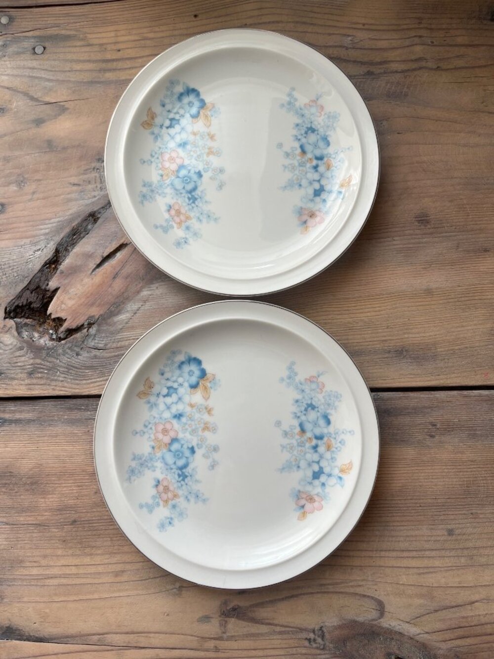 Blue Morn Fanci Florals Salad Plates Set of 2 Blue Floral Platinum Rim Porcelain
